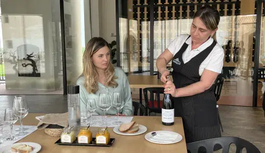 Erice & Marsala all inclusive guided tour  Lunch in Erice